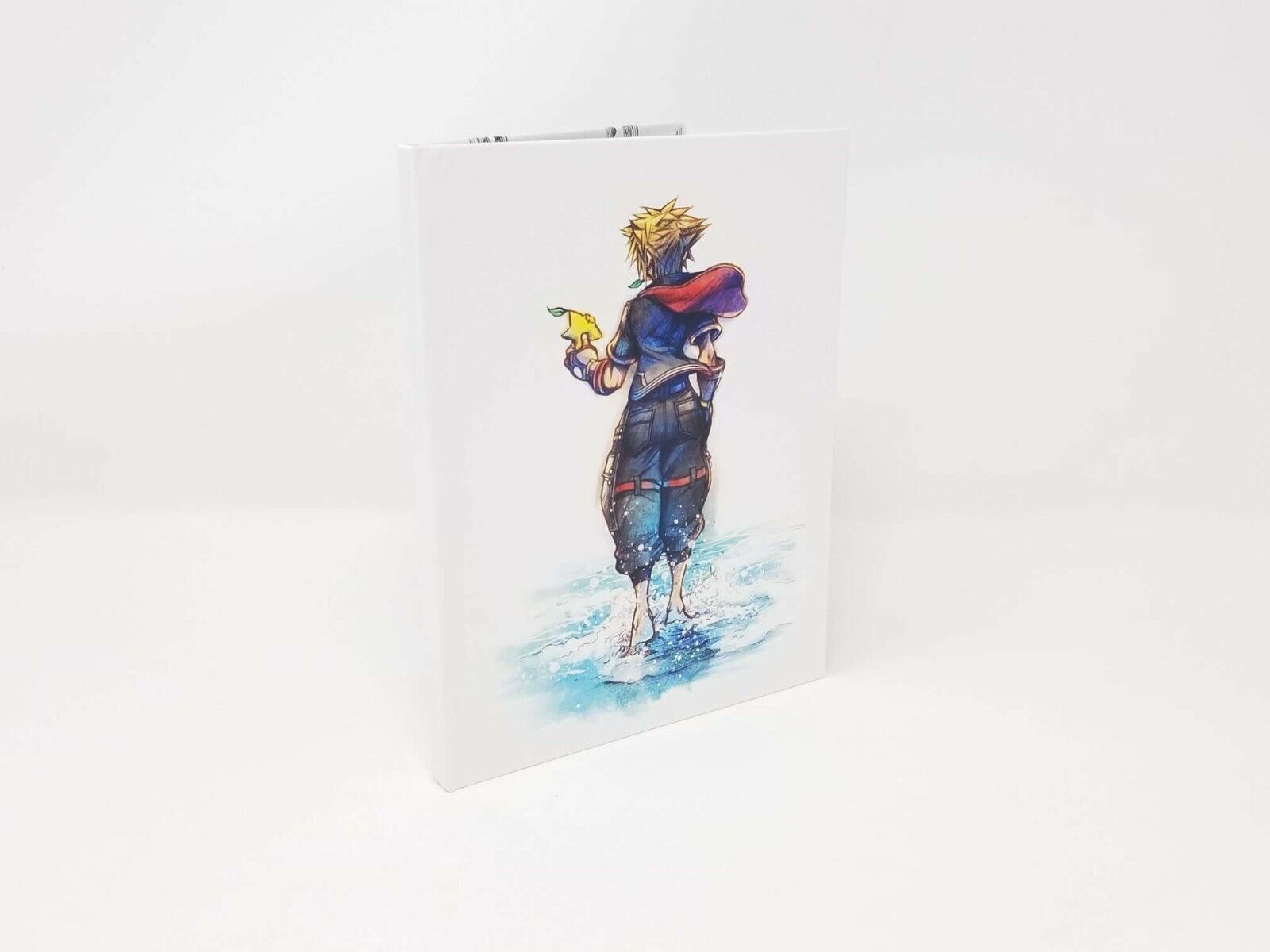 Kingdom Hearts: The Xehanort Saga Bundle (PlayStation 4)